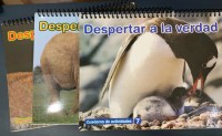 despertear-a-la-verdad-set